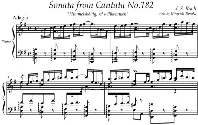 Bach=Tanaka/ Sonata from Cantata No.182 BWV 182